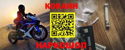 крисы Славгород