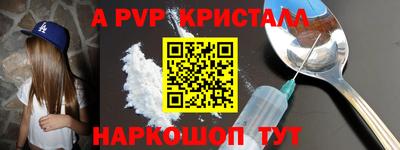 крисы Славгород