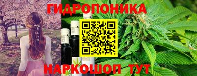 круглые Сланцы