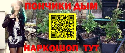 крисы Славгород
