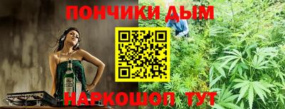 крисы Славгород