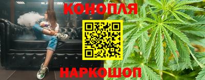 крисы Славгород