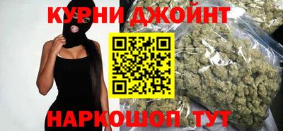 крисы Славгород