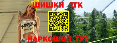 крисы Славгород