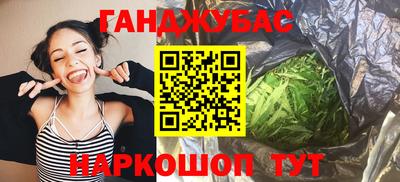крисы Славгород