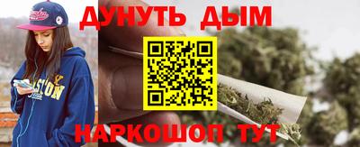 крисы Славгород
