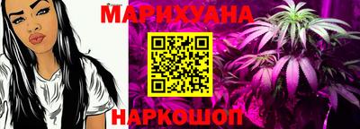 крисы Славгород