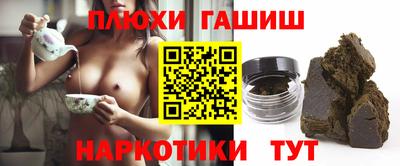 крисы Славгород