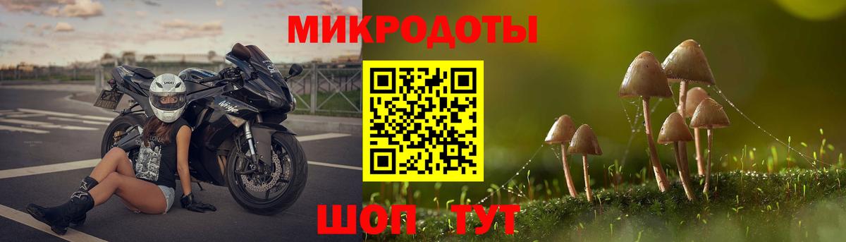 Псилоцибиновые грибы Magic Shrooms  Псилоцибиновые грибы GOLDEN TEACHER  Сокол  Вход с VPN 