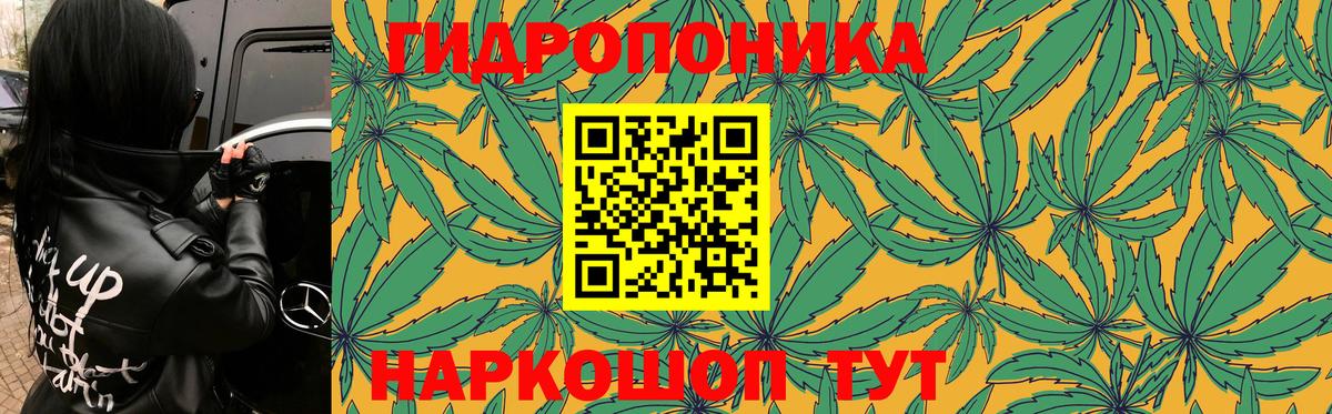 Бошки марихуана VHQ Сокол